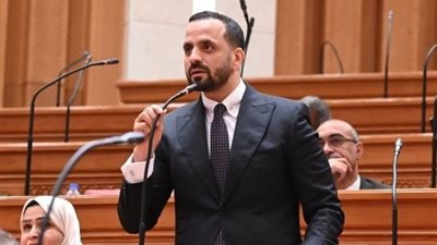  النائب محمد عبد الحفيظ 