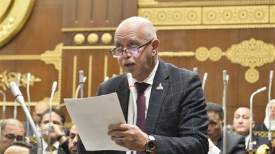 النائب حازم الجندي 
