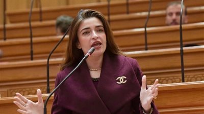 النائبة إيرين سعيد: لا تكليف لخريجي الصيدلة والأسنان والعلاج الطبيعي 