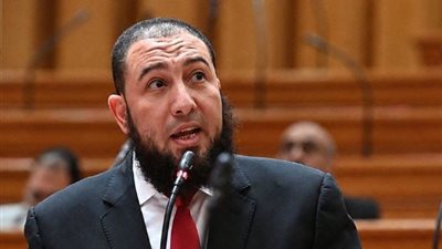 النائب محمود رشاد 
