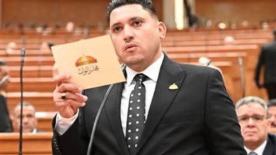 النائب أسامة عبدالشكور 