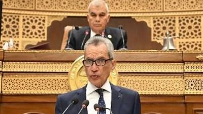 المستشار هاني حنا 