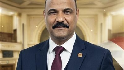 النائب علي سيد معوض 