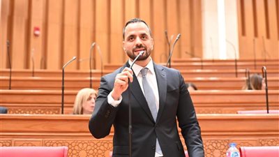  النائب محمد عبد الحفيظ 