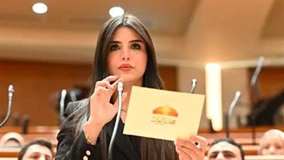  النائبة ريهام أبوالحسن 