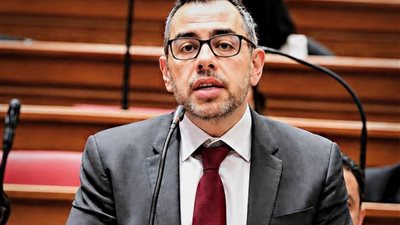 النائب  محمد فؤاد 