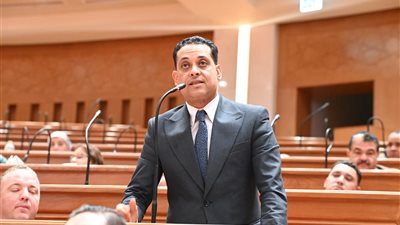 النائب محمد نشأت 