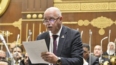 النائب حازم الجندي 