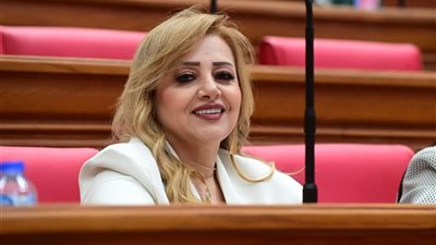  النائبة هبة غالي 