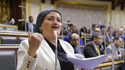 النائبة سناء السعيد 