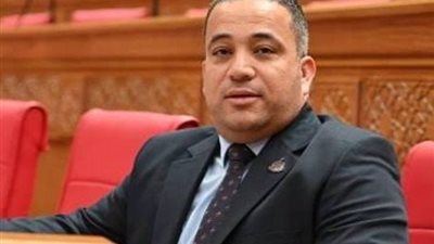  النائب هاني شحاتة 