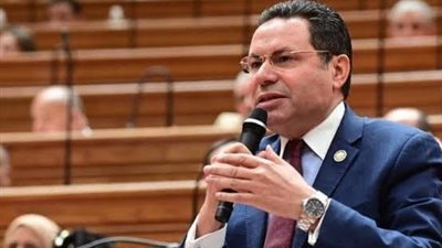 النائب هشام الحصري 