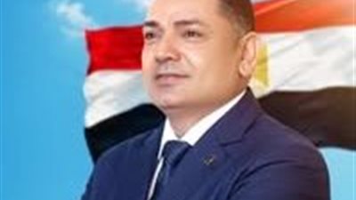 النائب أحمد الفيشاوي  
