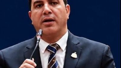 النائب السيد الغيطاني 