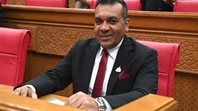 النائب أشرف مرزوق 