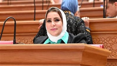 النائبة نيفين الكاتب  