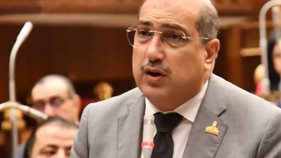 النائب إيهاب وهبة 