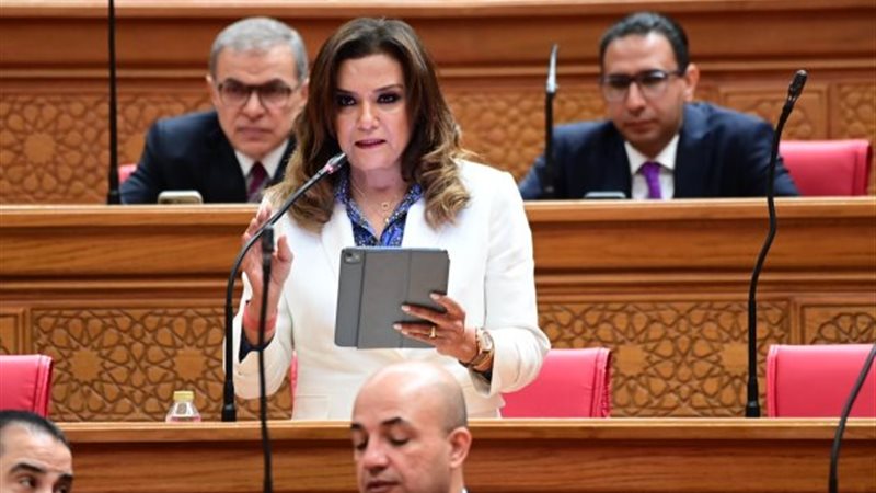 النائبة سحر طلعت