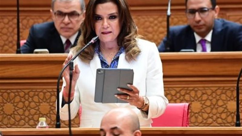 النائبة سحر طلعت مصطفى 