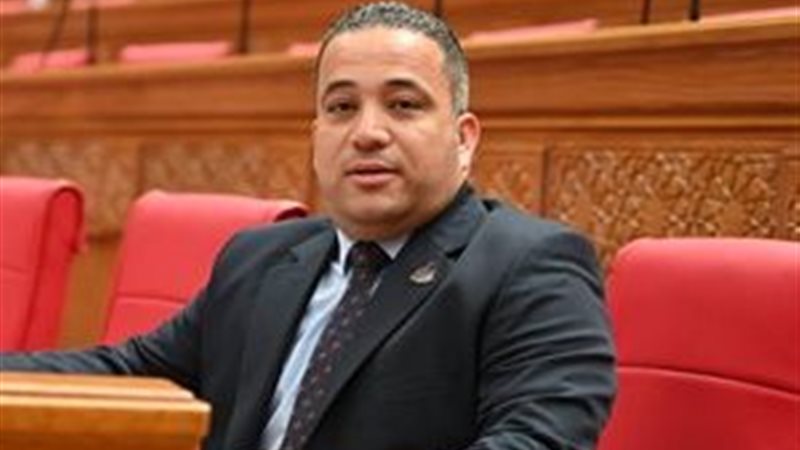 النائب هاني شحاتة 