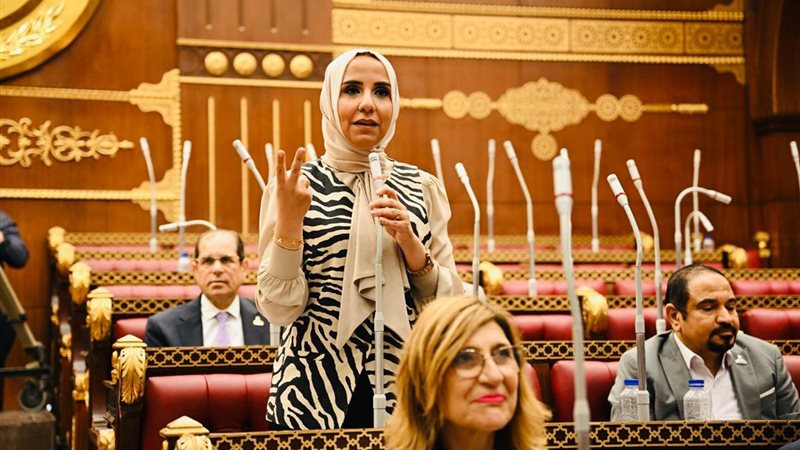 النائبة ولاء هرماس
