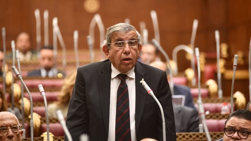  النائب علاء عبد النبي