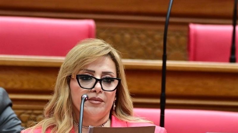النائبة هبة غالي 