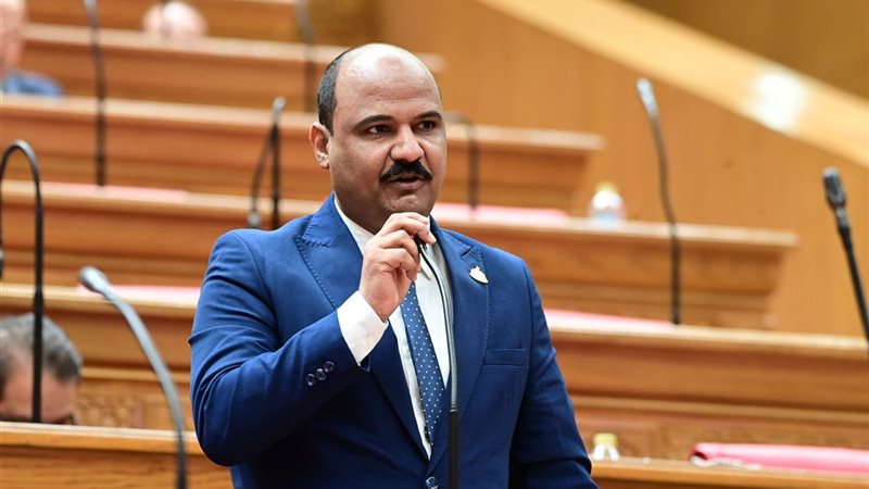 النائب علي سيد معوض عضو مجلس النواب