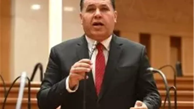 النائب عماد الغنيمي