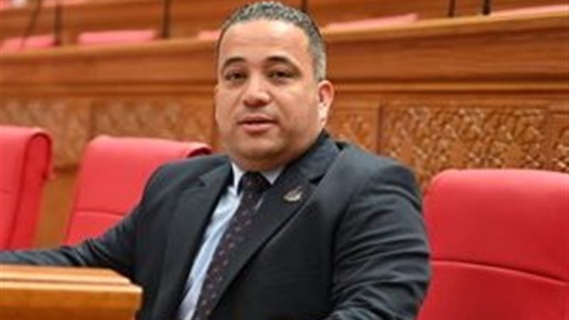 النائب هاني شحاتة 