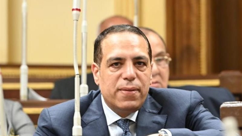 النائب الصافي عبد