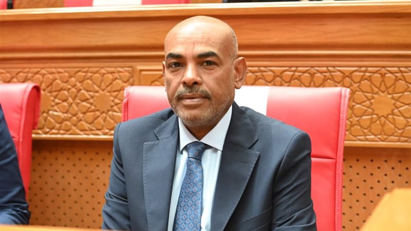 النائب محمد أبو الخير