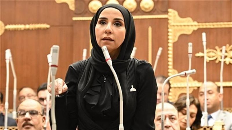 النائبة ولاء هرماس