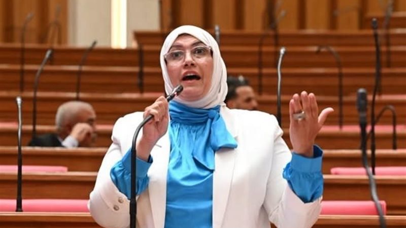 النائبة مروة هاشم