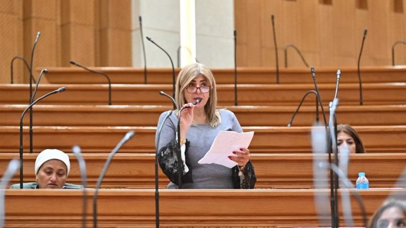 النائبة أميرة فؤاد رزق