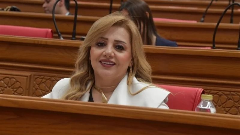  النائبة هبة غالي
