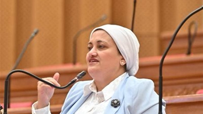 النائبة سناء السعيد
