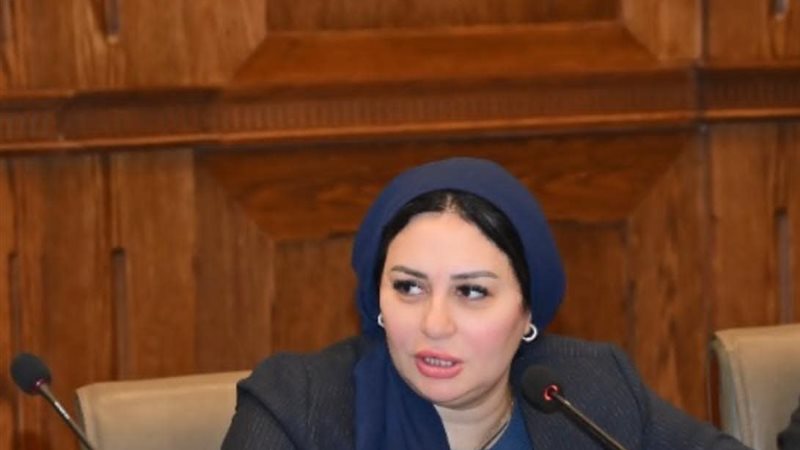 النائبة شيرين صبري