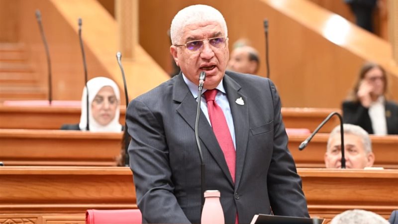 النائب أشرف سليمان