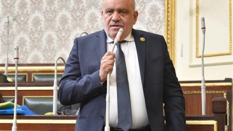 النائب سيد حنفي طه
