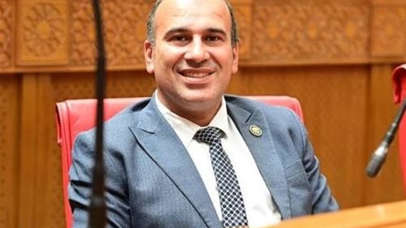 النائب محمود نجيب