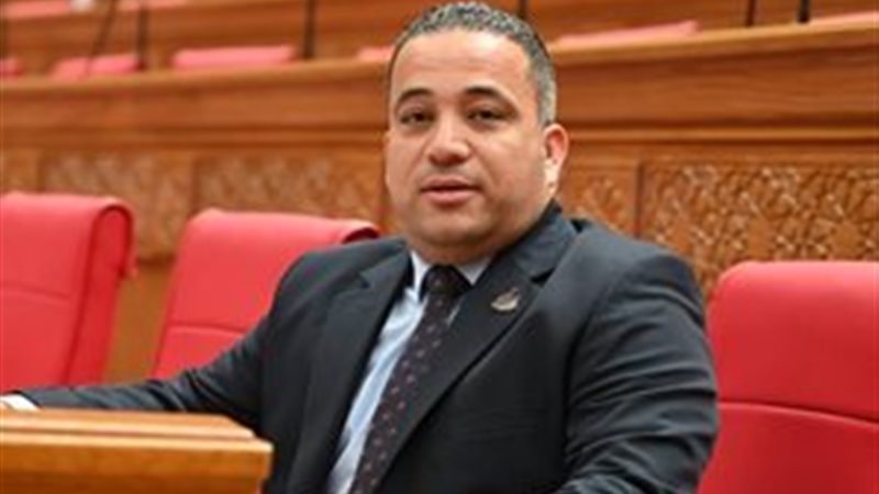  النائب هاني شحاتة