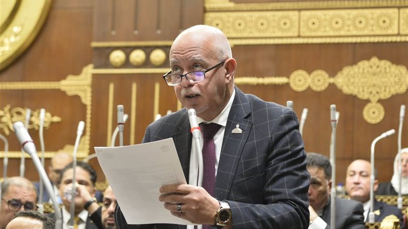 النائب حازم الجندي