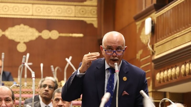النائب حازم الجندي