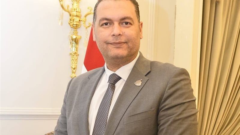 النائب محمد منير ربيع