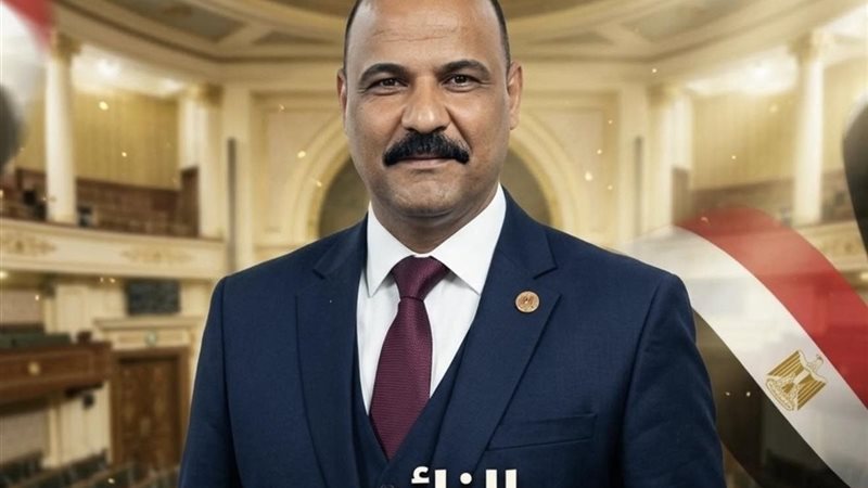 النائب علي سيد معوض