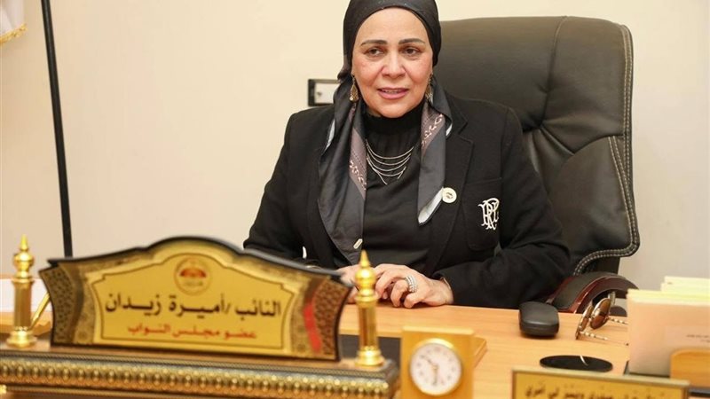 النائبة أميرة زيدان