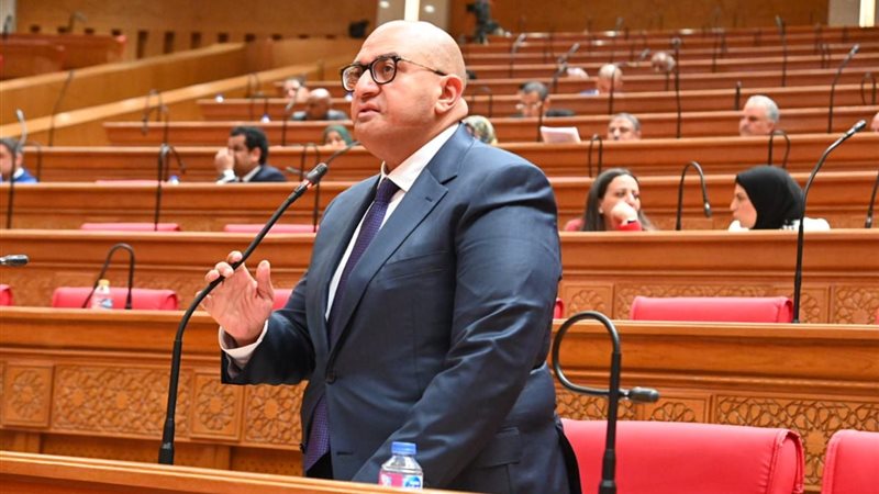 النائب أحمد الشناوي