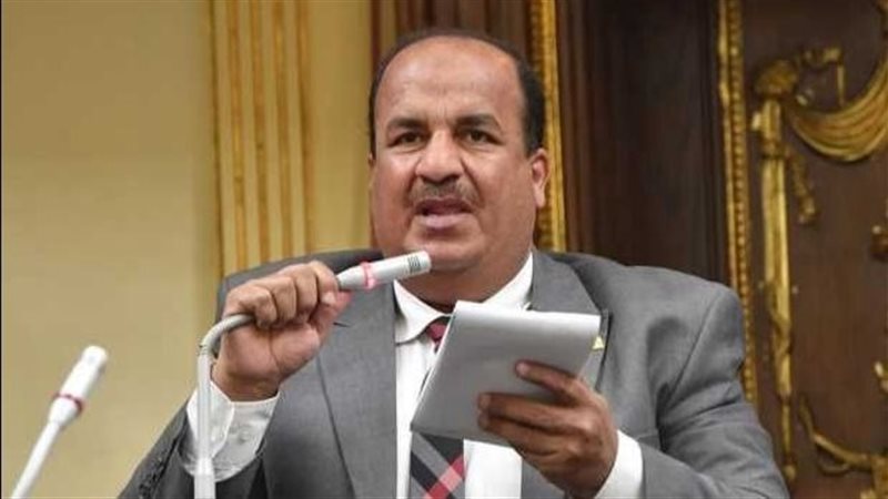 النائب محمد عبد الحميد