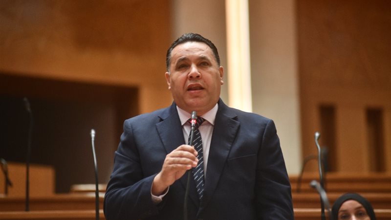 النائب عماد الغنيمي